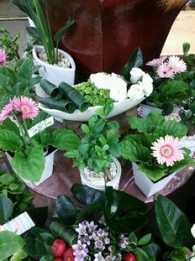 兵庫県姫路市の花屋 ミリオン生花店にフラワーギフトはお任せください 当店は 安心と信頼の花キューピット加盟店です 花キューピットタウン